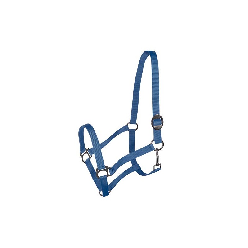 York Nylon Headcollar Headpiece Adjustable with Sliding Buckle Harmony Horse