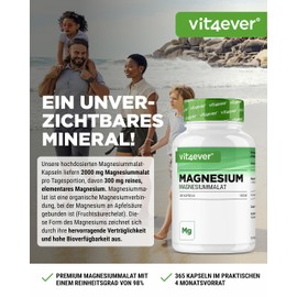vit4ever Magnesium Malate - 365 Capsules - 300 mg Magnesium