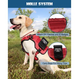 PETNANNY Tactical Service Dog Vest - No-Pull Emotional Support Harness with Hook & Loop Patches & Molle System for Training & Hunting (Red, Medium)