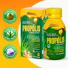 Biovital Propolis in Pure Tropical Honey 100% Herbal with 10