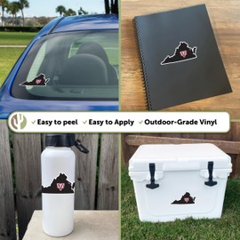 Desert Cactus Virginia Union University Sticker VUU Panthers Vinyl Decal Laptop Water Bottle Car Scrapbook (State Border Sticker)