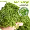 MaNeaz 60 g Moss for Crafts Artificial Moss Moss Craft