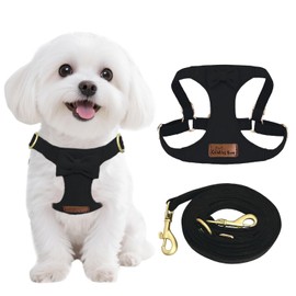 Guiding Star Puppy Harness and Leash Set, No Pull Lightweight Soft Adjustable Escape Proof Pet Harness Vest with Multifunction Dog Leash for Puppy Small Size Dog (Black-XS)