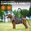 Doggie Stylz Dog Lift Harness for Large Dogs Full Body