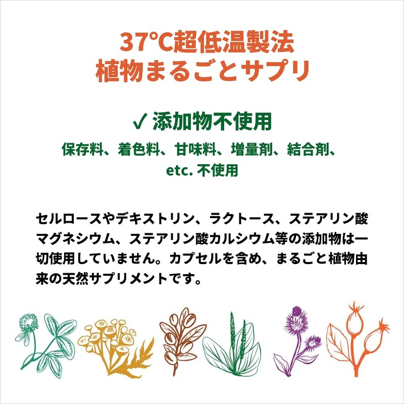 ドクダミ サプリメント 120カプセル 無農薬 無添加 植物100％【2袋セット】