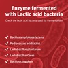 ILO Kamut Enzyme Complex – Digestive Health and Natural Metabolic
