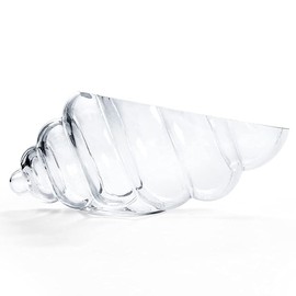 MDLUU Glass Shell Vase, 10-Inch Seashell Potpourri Holder, Decorative Conch Bowl for Shell Collection Display, Sea Glass, Air Plant