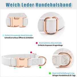 Soft Leather Dog Collar and Lead (2 m) Set - 3-Way Adjustable Dog Lead with Collar, Stylish Rose Gold Metal Buckle & Nylon Dog Lead for Puppies Small Medium Large Dogs White, S