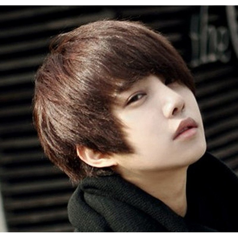 [Everyday Men's Wig Three Colors] Short Full Wig / Wig
