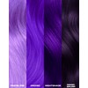 Lunar Tides Semi-Permanent Hair Color (43 colors) (Dark Violet, 4