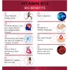 Nutroliq Vitamin B12 Liquid Drops - High-Strength 5000mcg Methylcobalamin Supplement