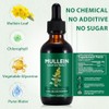 2 Pack Mullein Extract for Lungs Cleanse and Respiratory Support
