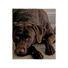 CafePress Chocolate Lab Throw Blanket Super Soft Fleece Plush Throw Blanket, 60"x50"