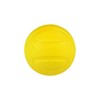 Fancy Pets Pelota para Perro con Aroma a Mango Juguete