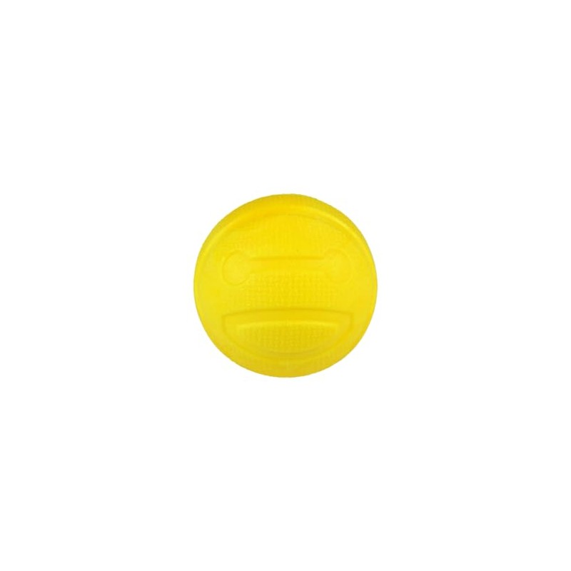 Fancy Pets Pelota para Perro con Aroma a Mango Juguete