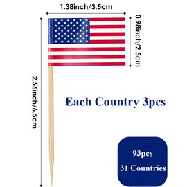 93 Pcs Mini Country Toothpick Flags, 31 Countries National Flag Food Picks, Bamboo Cupcake Toppers for International Themed Party, Sports Events, Cultural Celebrations Cocktail Picks