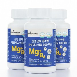 Nature Max Nerve Muscle Care Power Magnesium 400 Max 120 tablets, 3 bottles for 4 months, total 12 months supply, vitality recharge, bone health / 네이처맥스 신경 근육 관리엔 파워 마그네슘 400 맥스 120정 4개월분 3통 총12개월분 활력충전 뼈건강