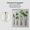 LCPCX Mini vase Magnets for Fridge, Magnetic Test Tube Vase