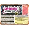 RetroRust 10 x 14 METAL SIGN - 1970 Sea Monkeys