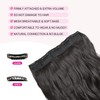 REECHO 20" 1-Pack 3/4 Full Head Curly Wave Clips in