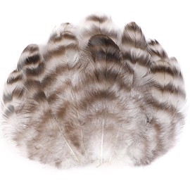 Soarer Natural Chinchilla Coque Feathers - 300pcs 3-5inch Craft Feathers for Dream Catcher Supplies, Home Party, Hats and Jewelry Accessories and DIY Crafts(Chinchilla)