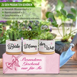 Gifts for Mum, Best Mum in the World Flower Pots, Gifts for Mum for Birthday, Mother's Day, Christmas, Gifts from Daughters and Sons to the Best Mum Gifts