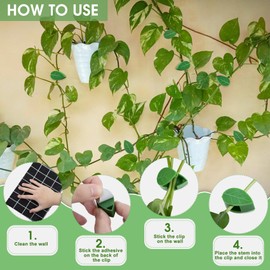 Unves 50 Pcs Plant Clips for Climbing Plants, Green Leaf Plant Support Clips Climbing Wall Fixture, Plants Wall Clip Vine Fixer Come with Stickers, Vine Traction Accessories for Indoor Outdoor