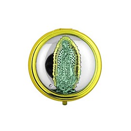 VILLAGE GIFT IMPORTERS 2" Gold and Silver Pyx | Select Holy Figures | 8 Host (Our Lady of Guadalupe)