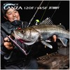 SHIMANO XV XV Lanza 145F Jet Boost XL-L14Y 006 Black