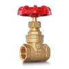 1/2" NPT Brass Gate Valve, Heavy Duty Female x Female