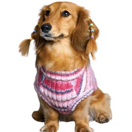 Blueberry Pet Dog Christmas Sweater - Award-Winning Cozy Knit Dog Clothes | Large Warm Dog Sweater, 22" Back, Gradient Dip Dye | Stylish Puppy Warmer, Machine Washable Holiday Wear