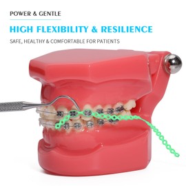 ANNWAH Dental Colorful Orthodontic Braces Rubber Chains,Dental Rubber Chains for Braces Power Chains for Orthodontic Treatment(Long,Green 14)