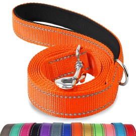 Joytale Dog Lead with Comfortable Padded Handle, 1.2/1.8 m Nylon Reflective Dog Lead for Training and Hiking, For Medium and Large Dogs