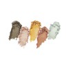 SARA ID 5 Color Palette