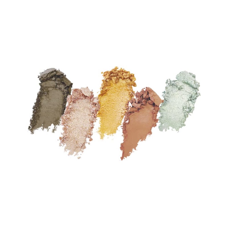 SARA ID 5 Color Palette