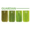 Pulp Riot Semi-Permanent Hair Color Fantasy Collection 118ml - Guardian