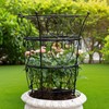 Goooxim Large Obelisk Trellis Peony Cage 24.6x17 Inches - Premium