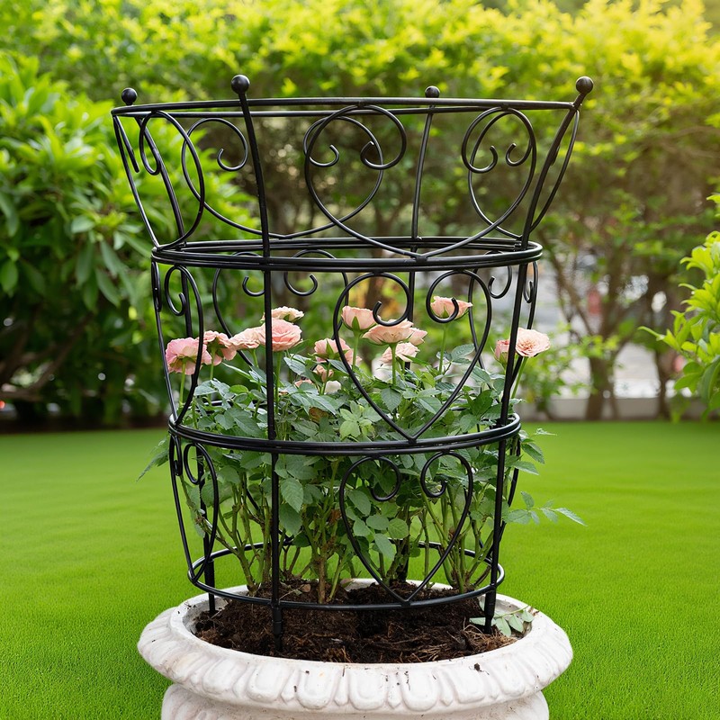 Goooxim Large Obelisk Trellis Peony Cage 24.6x17 Inches - Premium