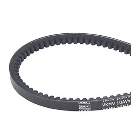 SKF VKMV 10AVX710 V belt