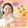 和漢のめぐり ぬくもりプレミアム ヒハツ サプリ 12種類の和漢素材配合 120粒入り 約一ヶ月分 ショウガ オタネニンジン
