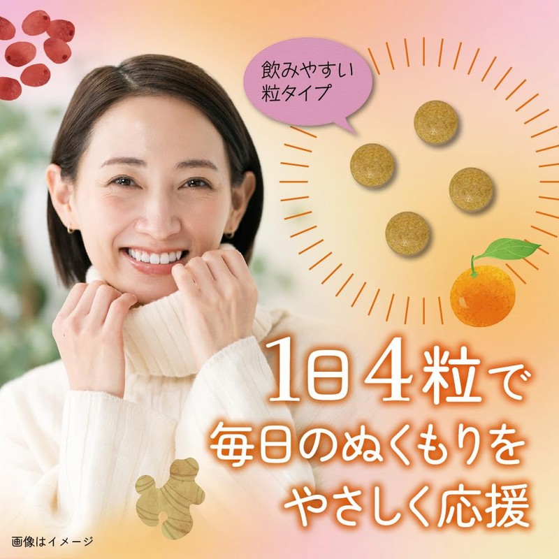 和漢のめぐり ぬくもりプレミアム ヒハツ サプリ 12種類の和漢素材配合 120粒入り 約一ヶ月分 ショウガ オタネニンジン