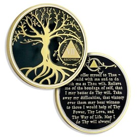 AtSKnSK 9 Years Sobriety Chip Tree of Life AA Coins and Medallion Alcoholics Anonymous Coin Recovery Anniversary Token Sobriety Gifts for Women Men