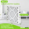 22.7" x 20.7" x 4.7" FLRQB5AH23M13 MERV 13 Air Filter