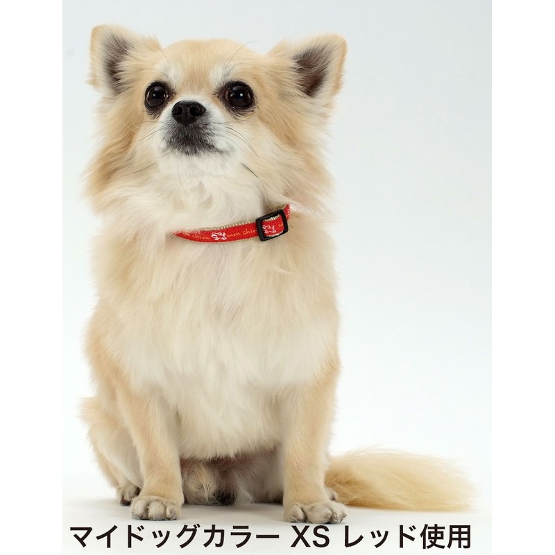 Petio Collar Little Angel My Dog Collar Black for Small