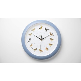 KOOKOO Singvögel Sky-Blue, 12 Genuine Original Field Recordings from Native Songbirds