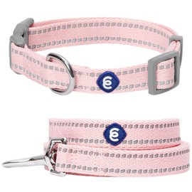 Blueberry Pet Essentials Pastel Color Reflective Matching Dog Collar and Leash Set in Baby Pink, Adjustable Collar with 4 ft Leash for Large Dogs