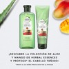 Botanicals Aloe & Mango Champú 380 ml