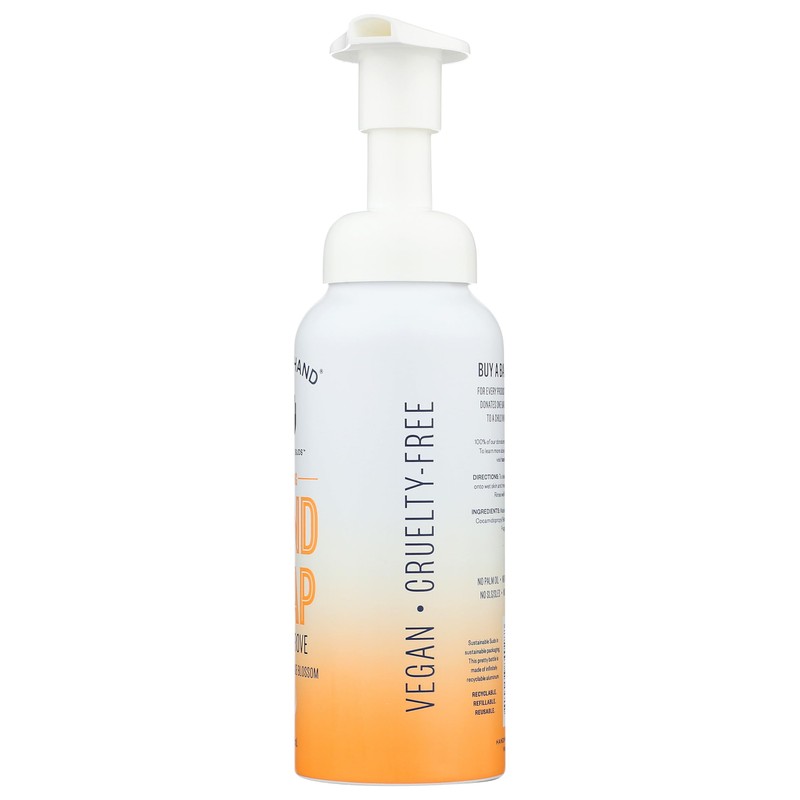 Hand In Hand Citrus Grove Foaming Hand Soap, 8.5 Fz