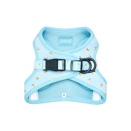 The Wagging Tail No Pull Harness for Small, Medium, Large Dogs, Heavy Duty, Adjustable, Breathable, Soft, Cute, Reflective, Dog Harness, Dog Vest, Pet Harness (Beach Balls, Small)