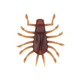 deps Wiggle Bug #28 Scappanon